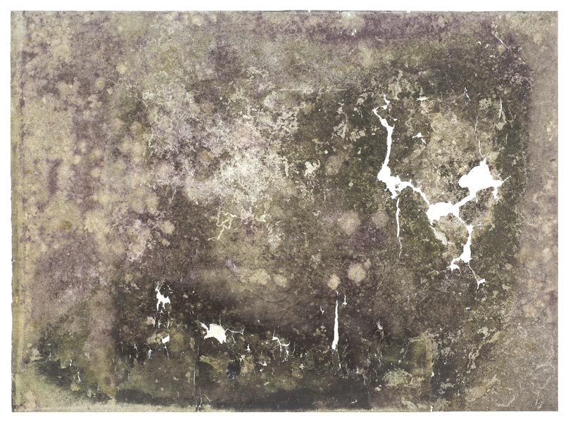 365 días en el bosque tropical lluvioso..., 2013 Nature and time on canvas, 70.5” x 97”