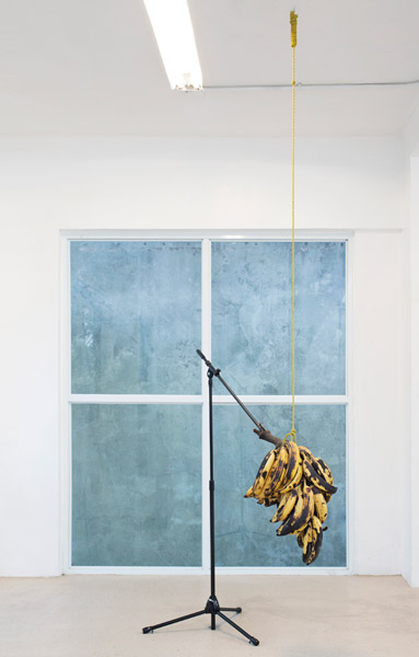 Cacofonía (Racimo Discursivo), 2014 | Plantains and Microphone Stand, Variable