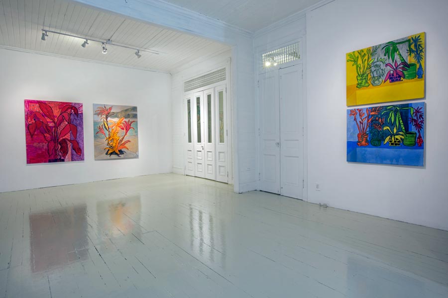 Installation view at Roberto Paradise | Esbaratyson | Tyson Reeder